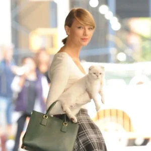 Taylor Swift's Cat Net Worth Feline Fortune Unveiled!