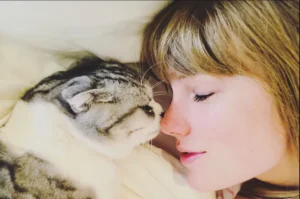 Taylor Swift's Cat Net Worth Feline Fortune Unveiled!